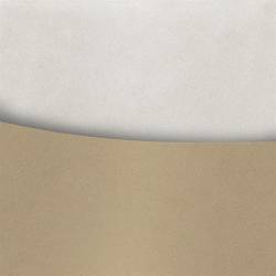 Karton ozdobny NATURE jasnobeżowy 220g.(20) 204716 ARGO