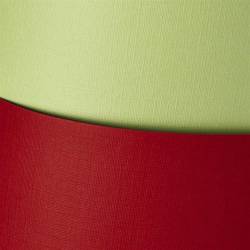 Karton wiz.A4 HOLLAND czerwony  200513 220g (20) ARGO chińska czerw.