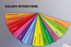 Papier xero A4 160g czerw.kora lowa 1004