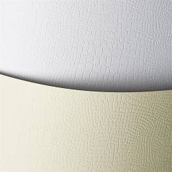 Karton wiz.A4 BORNEO kremowy 220g (20) ARGO 200202