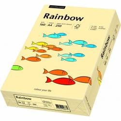 Pap.xero A4 160 koś.sł.250aR06 RAINBOW 88042283/54chamois OPT